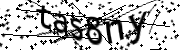 Anti-Bot verification code image